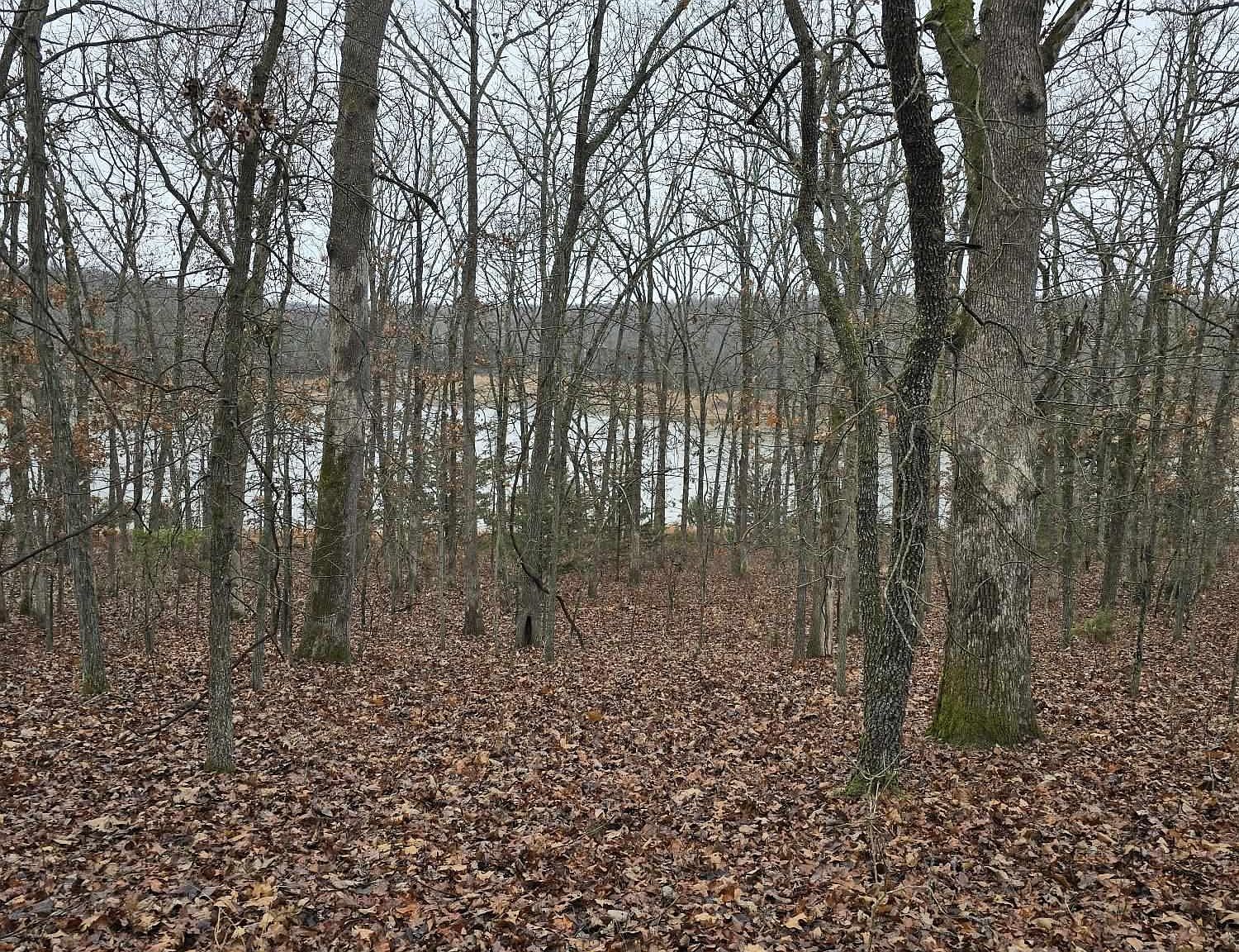 LOT 3450 Bob Dr Edwards, MO 65326  | Land/Lot