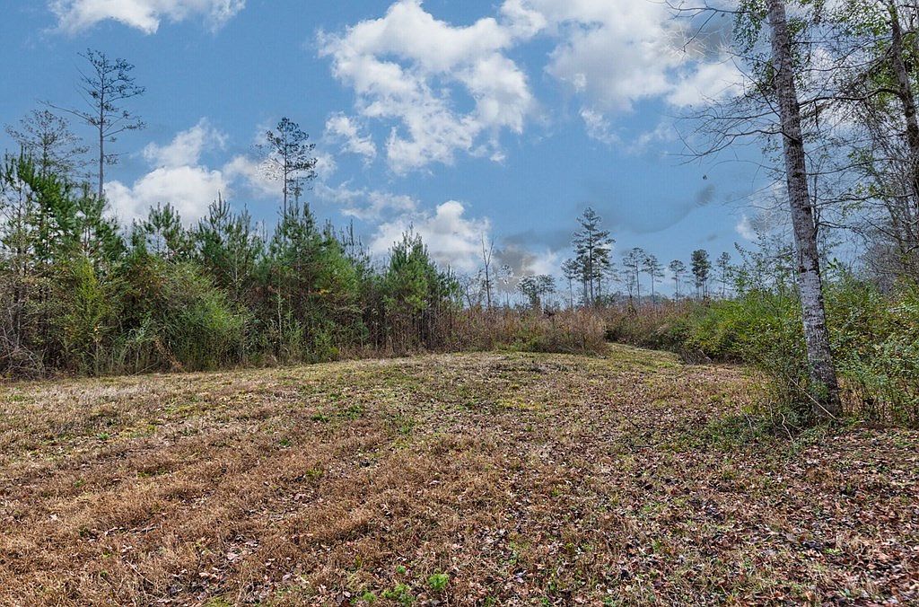 13145 State Highway 315 Cataula, GA 31804  | Land/Lot