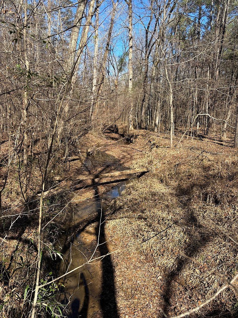 0 Carl Mathis Rd Talbotton, GA 31827 | Land/Lot