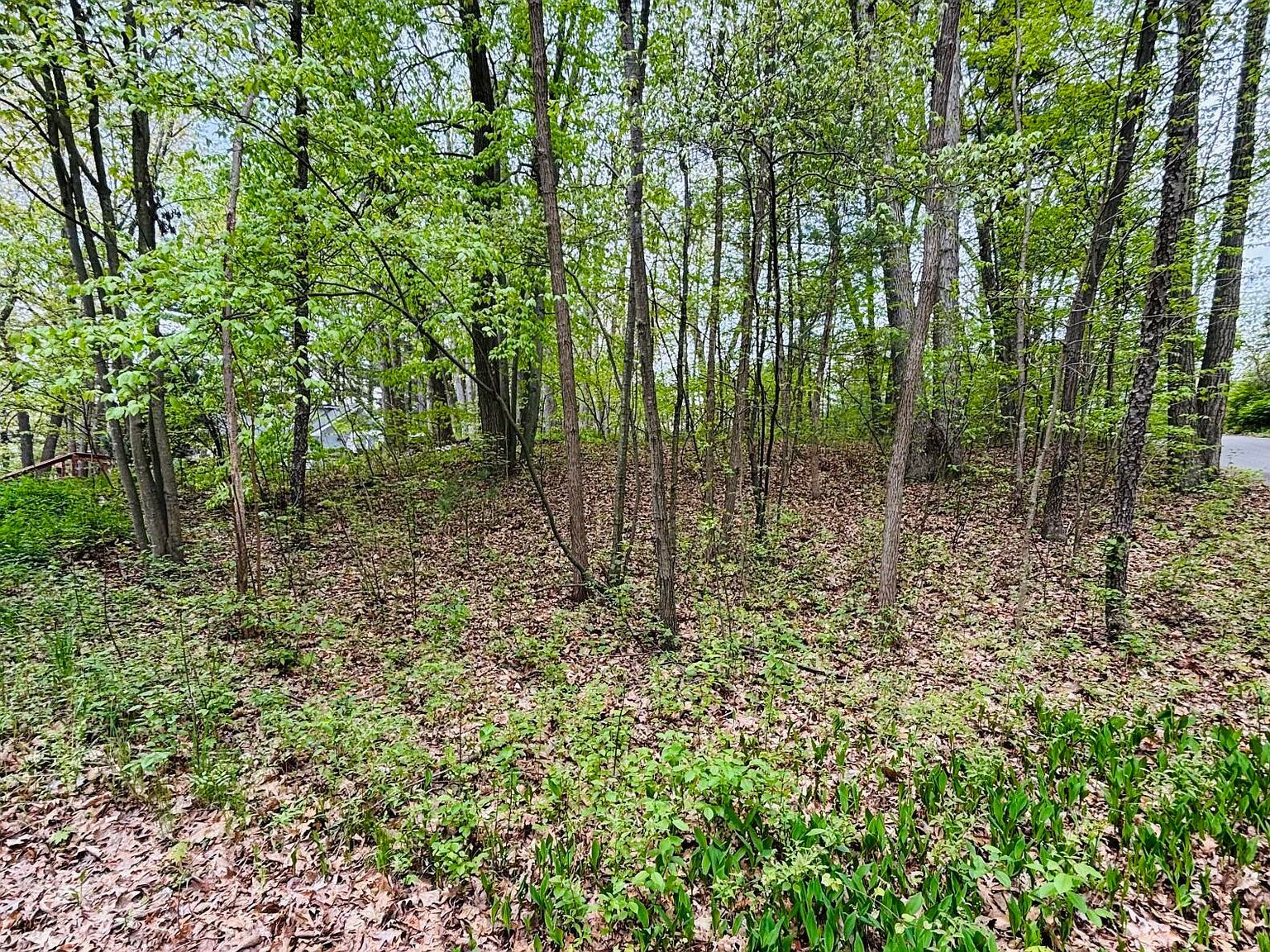 12651 Maston Lake Dr NE Sand Lake, MI 49343  | Land/Lot