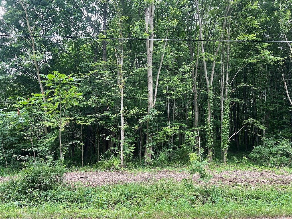 3 / Acres Linesville, PA 16424 | Land/Lot