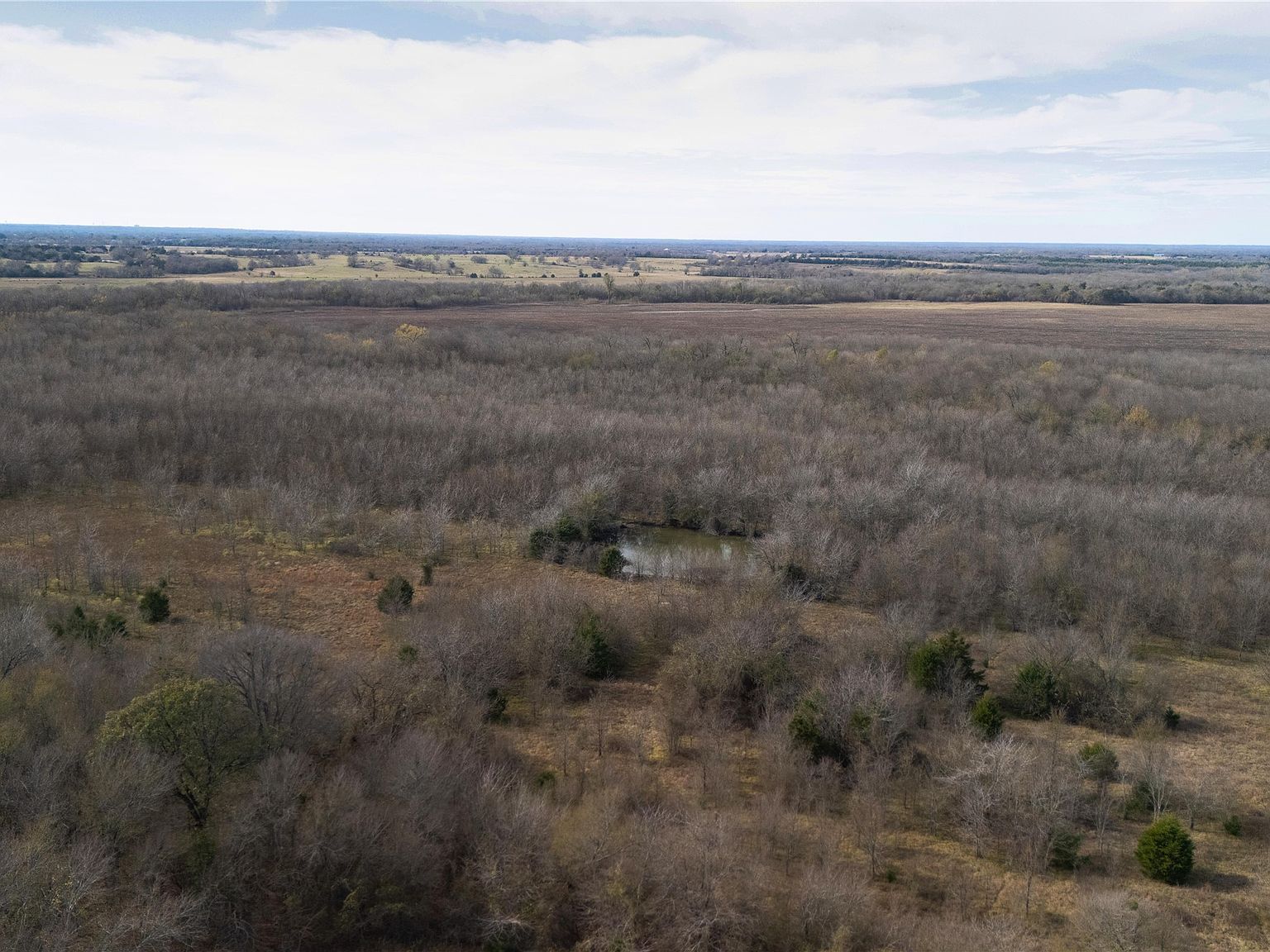 TRACT 5 County Road 2158 Cooper, TX 75432  | Land/Lot