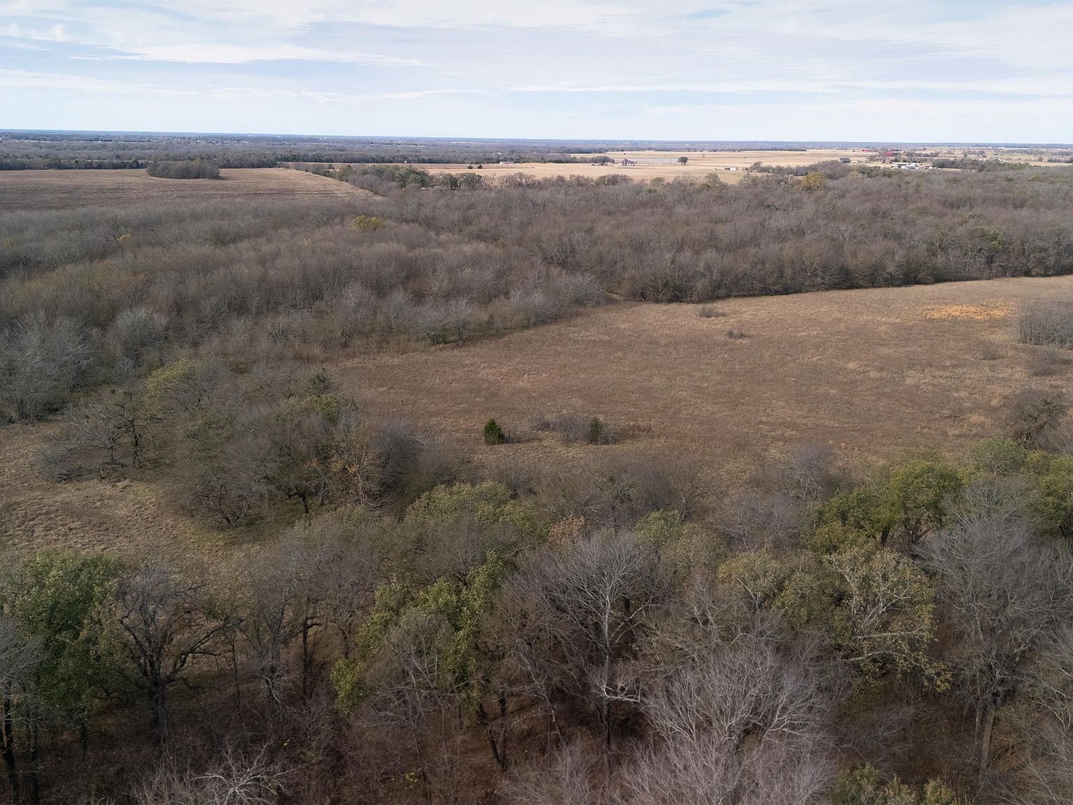 TRACT 9 County Road 2158 Cooper, TX 75432  | Land/Lot