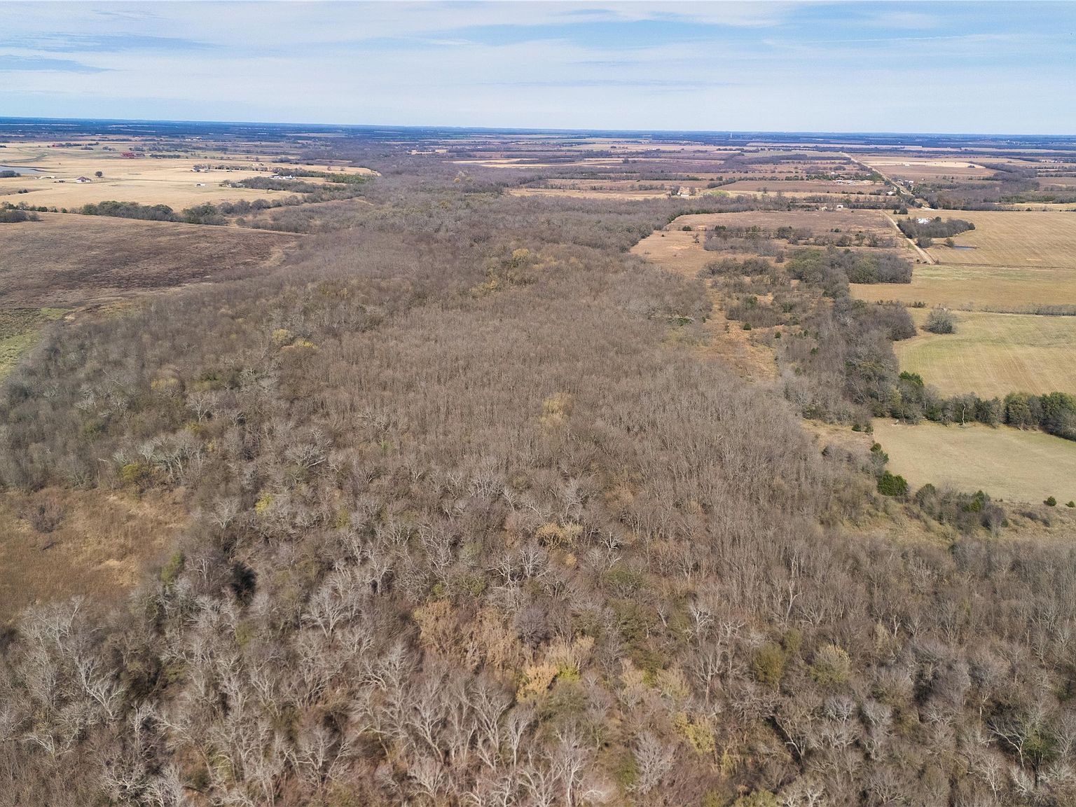 TRACT 8 County Road 2158 Cooper, TX 75432  | Land/Lot