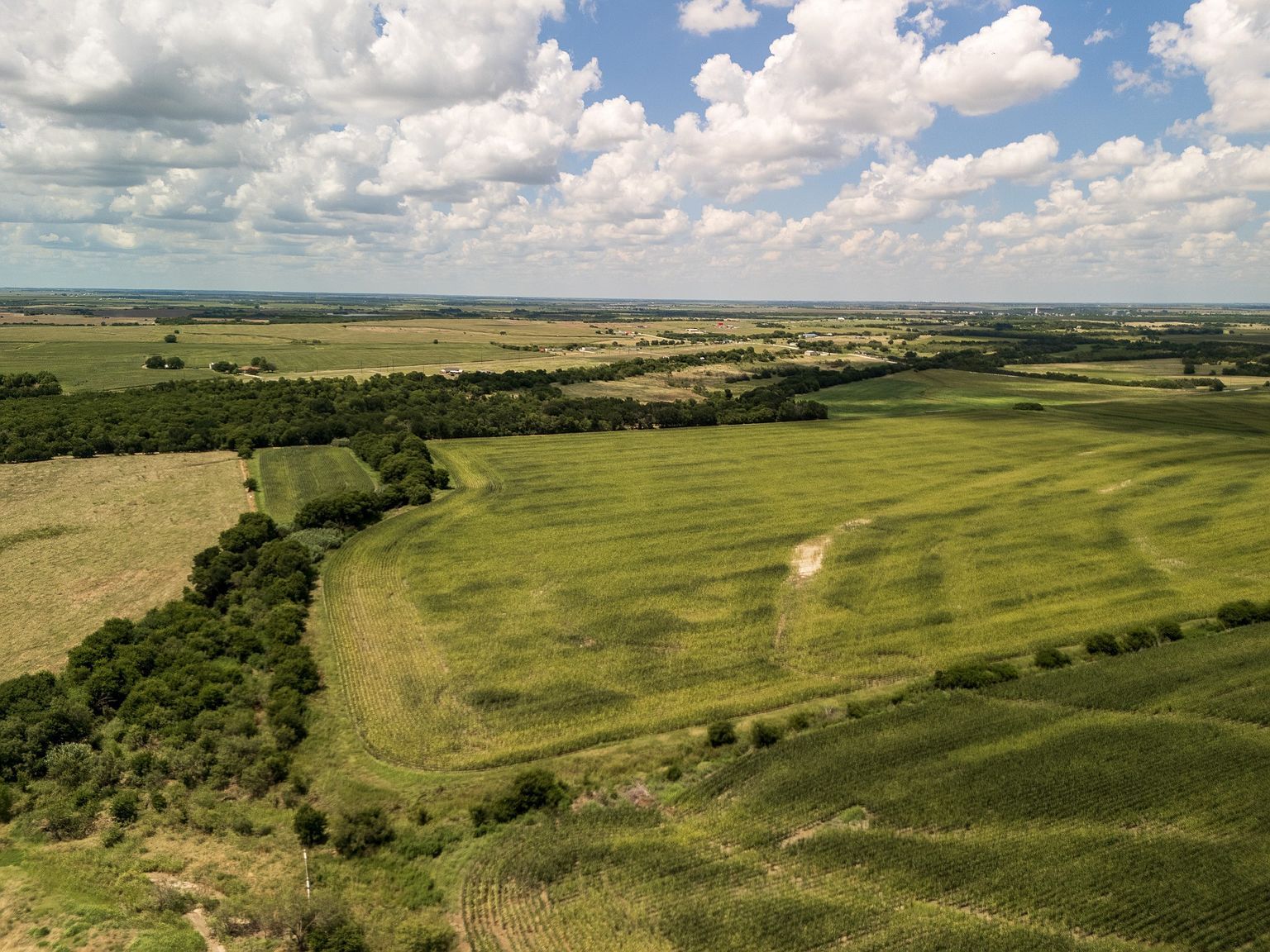 County Road 3150 Hubbard, TX 76648  | Land/Lot