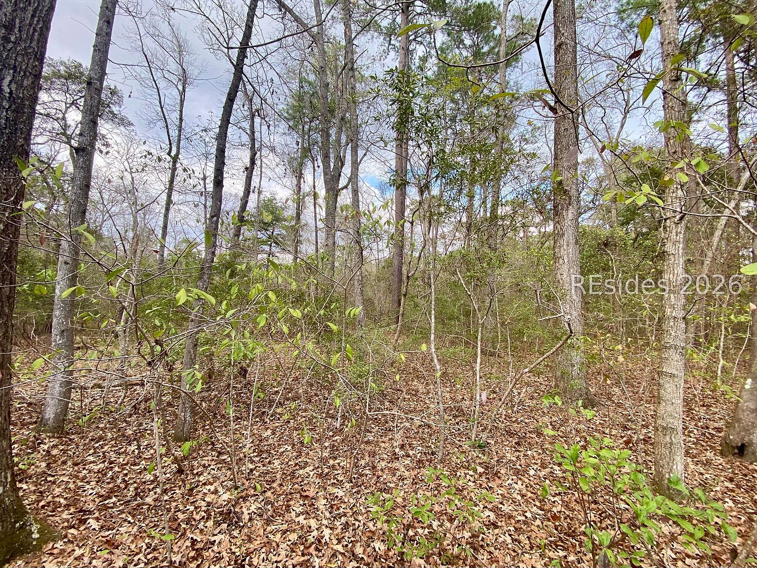3 Blake Ln Seabrook, SC 29940  | Land/Lot