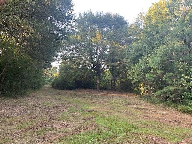 27816 Highway 435 Abita Springs, LA 70420 | Land/Lot