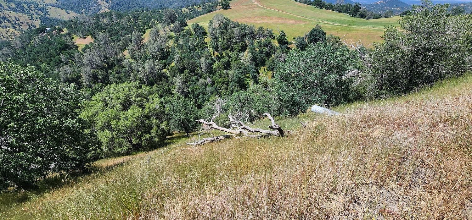 1111 Lazy L Summit Ln Coarsegold, CA 93614 | Land/Lot