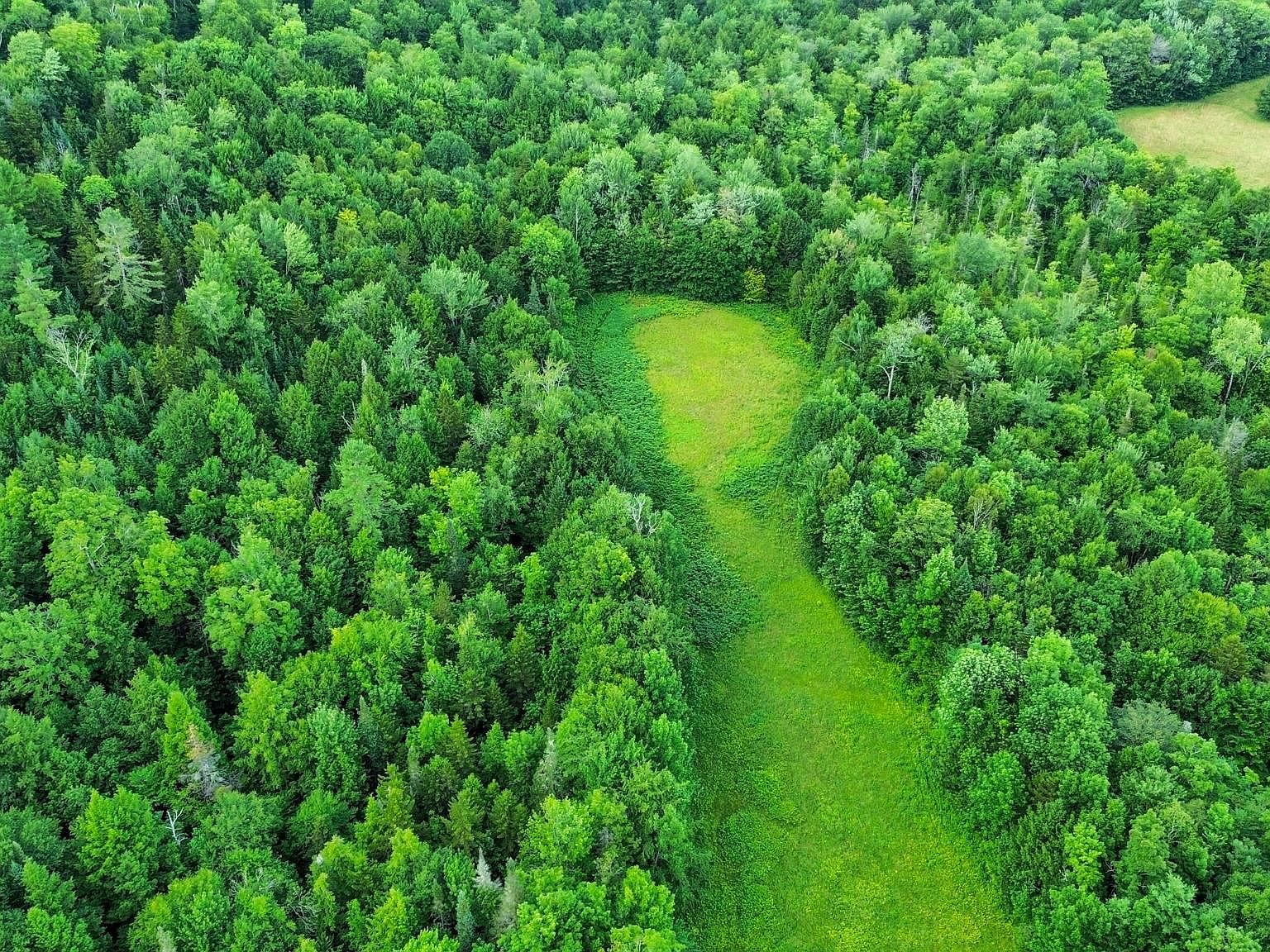 0 Fuller Rd Newbury, VT 05051  | Land/Lot