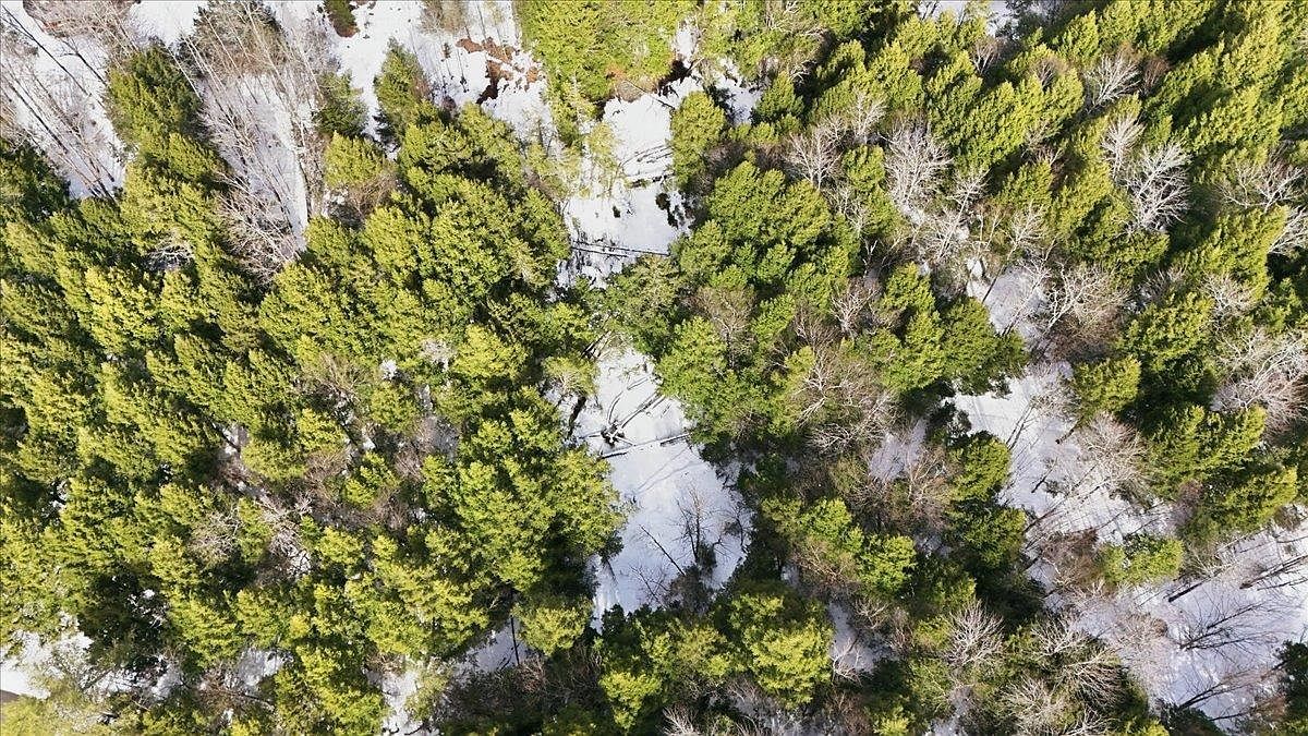 3 Hummingbird Ln Waitsfield, VT 05673  | Land/Lot