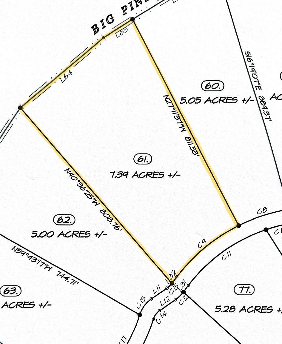 9999 W Bobcat Ln #61 Wilder, TN 38589 | Land/Lot