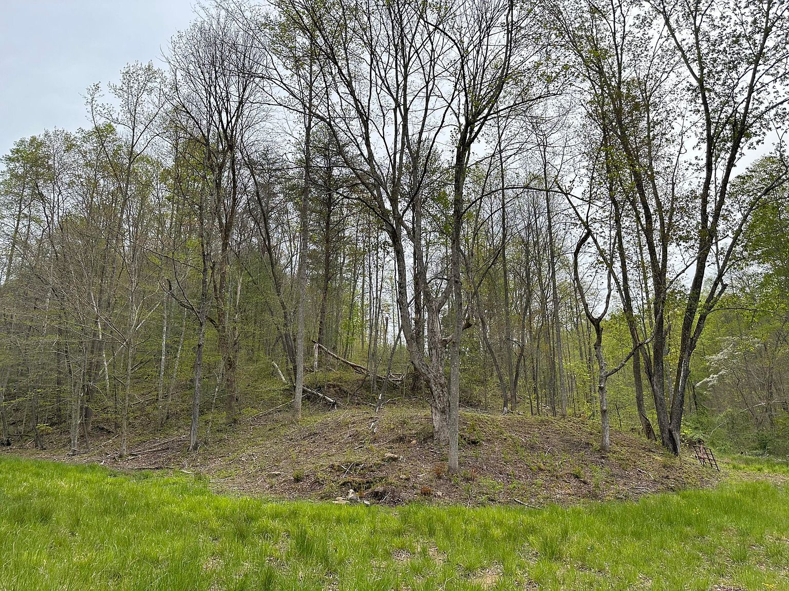 43 Deer Run Ln Campton, KY 41301  | Land/Lot