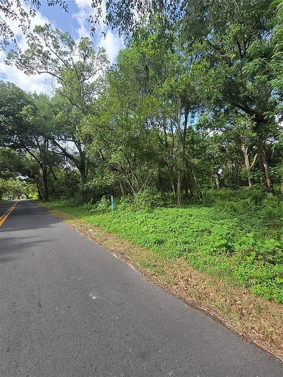 N Saint Clair St Wildwood, FL 34785  | Land/Lot