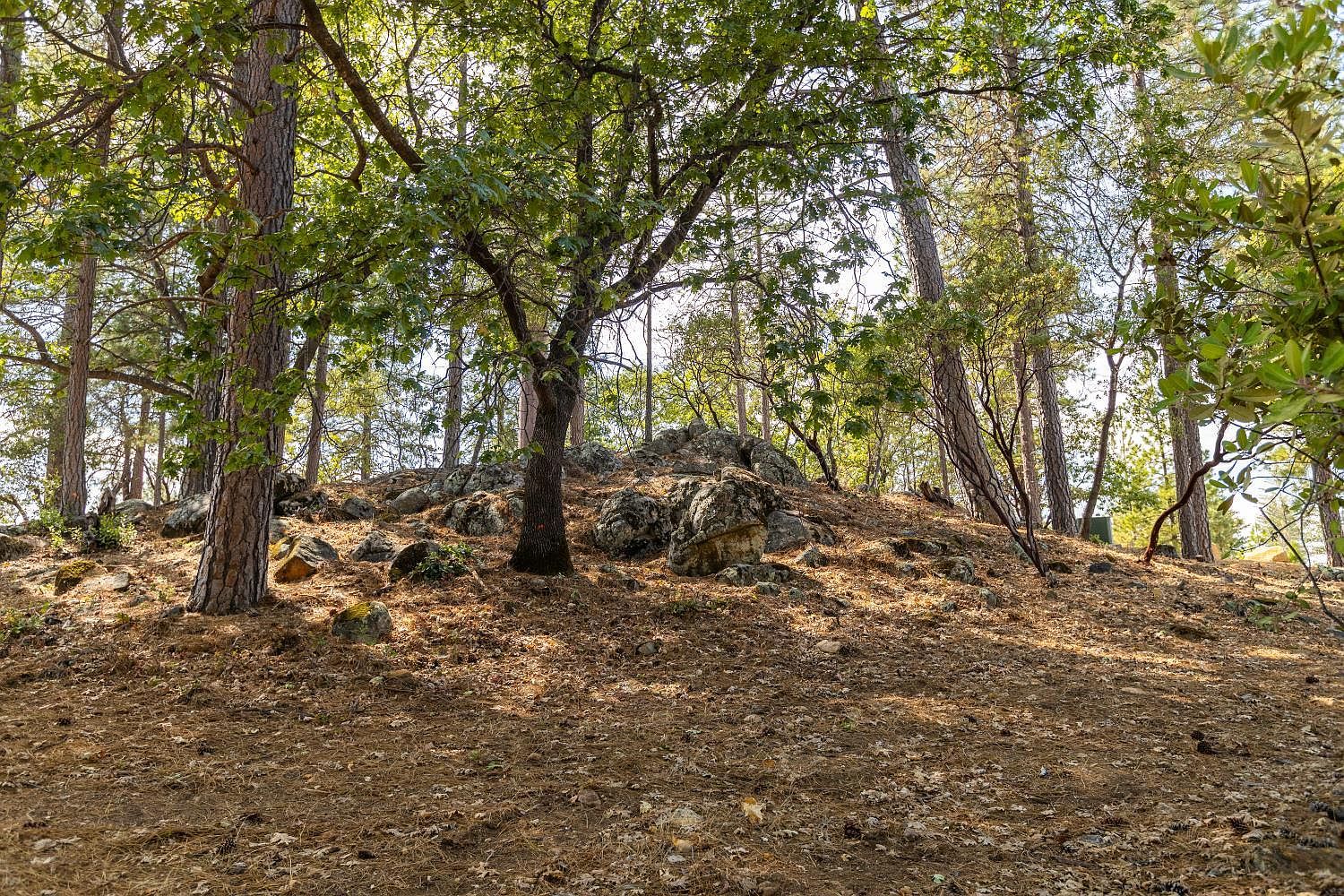 1621 The Point Rd Meadow Vista, CA 95722  | Land/Lot