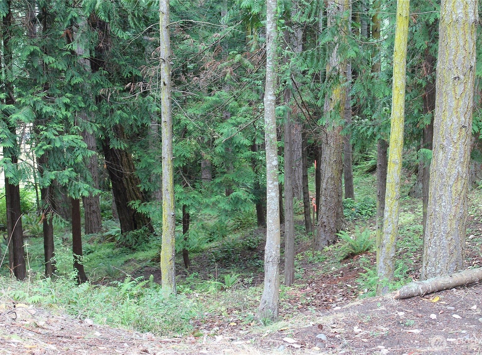 85 Quinault Loop Port Townsend, WA 98368  | Land/Lot