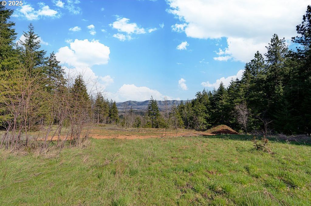 5369 York Hill Dr Hood River, OR 97031  | Land/Lot