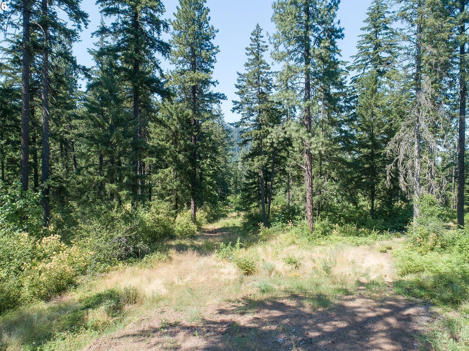3765 Dee Hwy Hood River, OR 97031  | Land/Lot