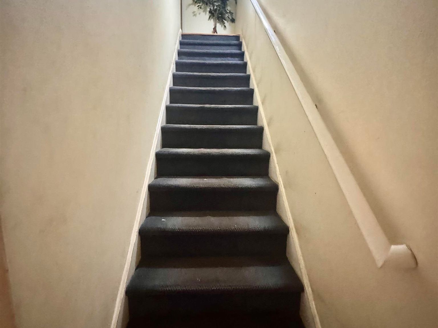 1207 Pinegrove Dr Myrtle Beach, SC 29577  | Multi Family