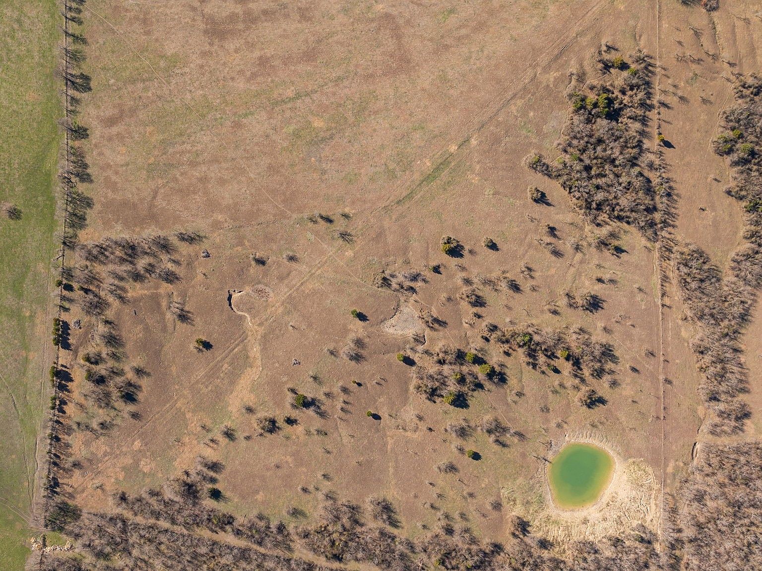 Alsdorf Rd Ennis, TX 75119 | Land/Lot