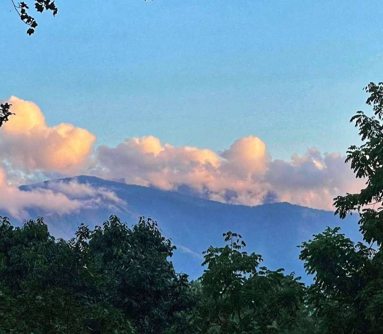 3587 Mountain Creek Way Cosby, TN 37722  | Single Family