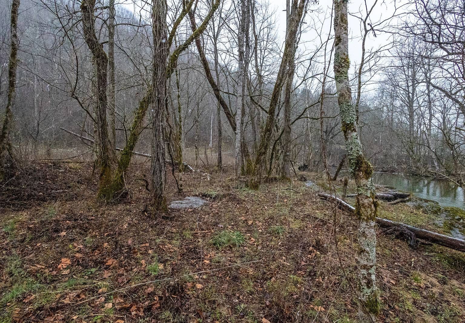 1392 Rocky Flats Rd Cosby, TN 37722  | Land/Lot