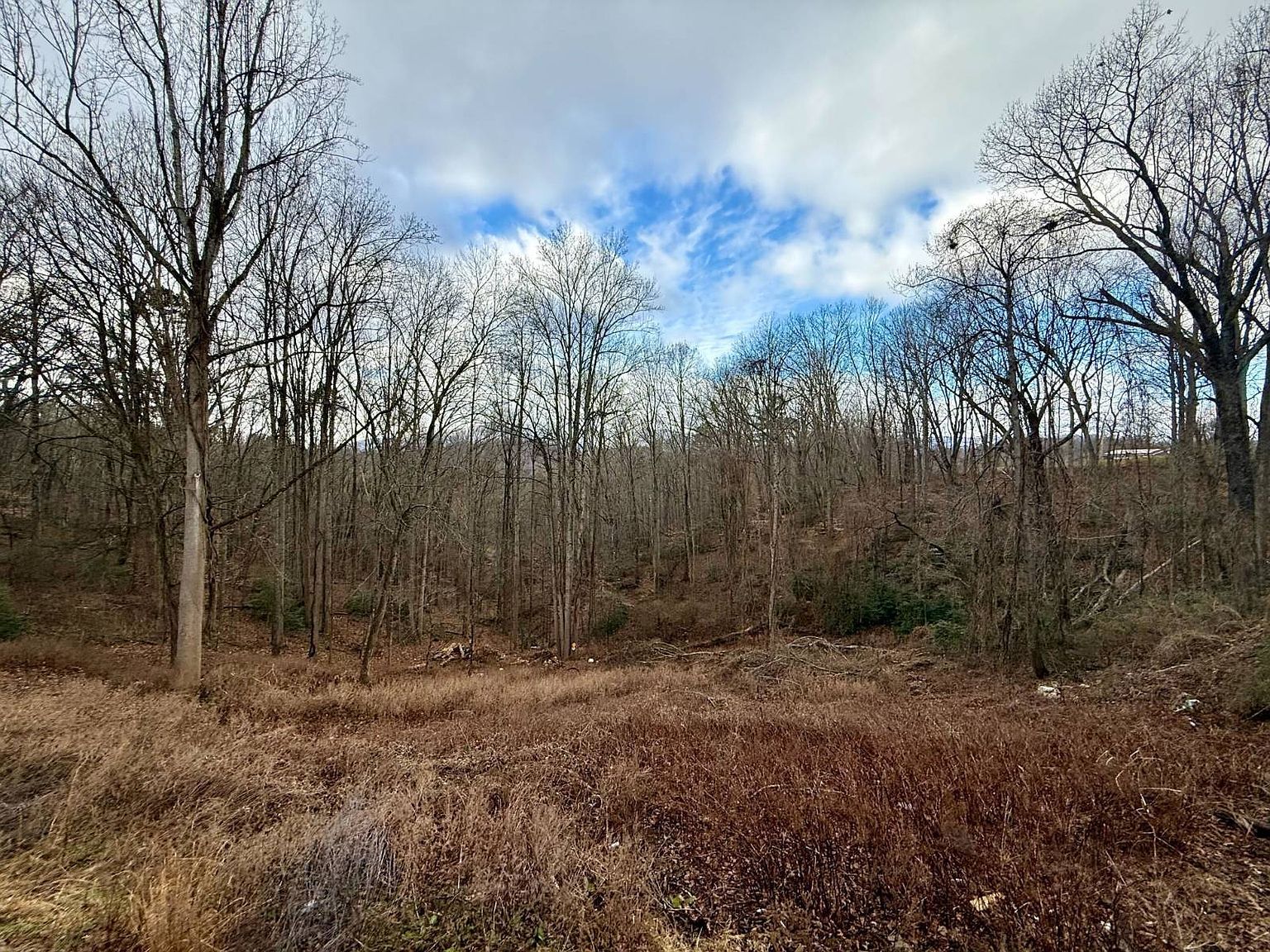 2801 Oak Grove Rd Rocky Top, TN 37769  | Single Family