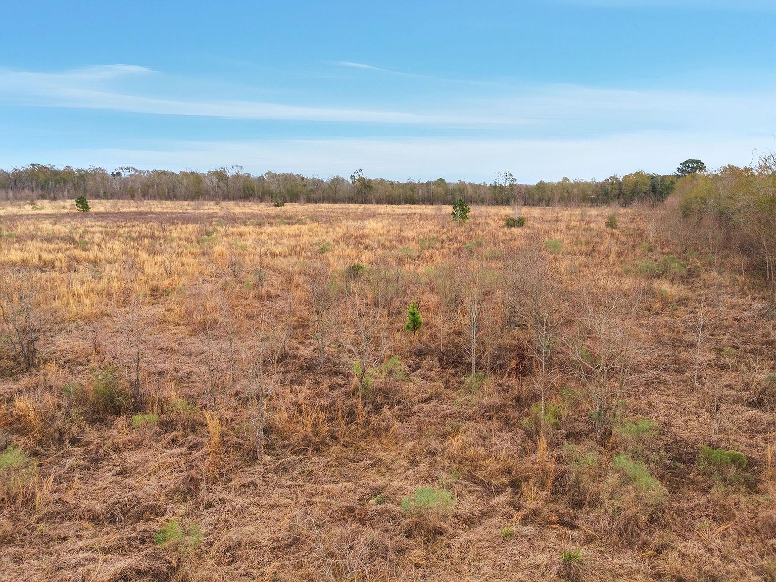2 Walker Rd Reeves, LA 70658  | Land/Lot