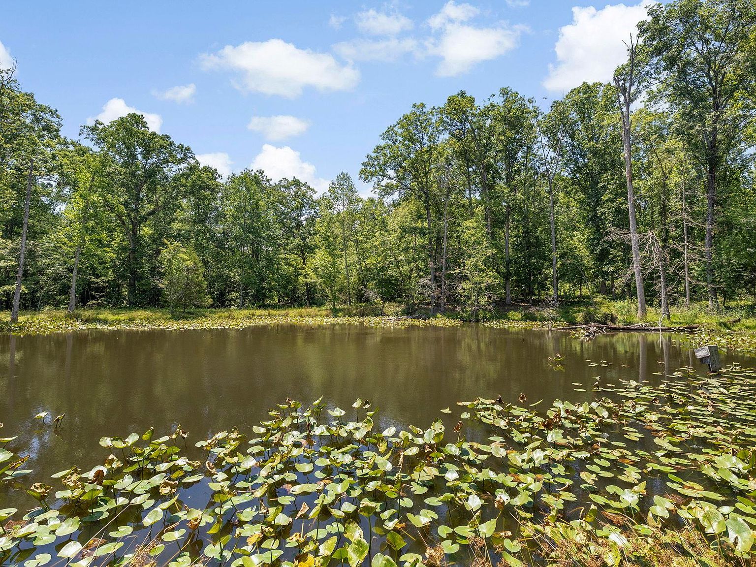 360 Terry Rd Fountain Inn, SC 29644 | Land/Lot