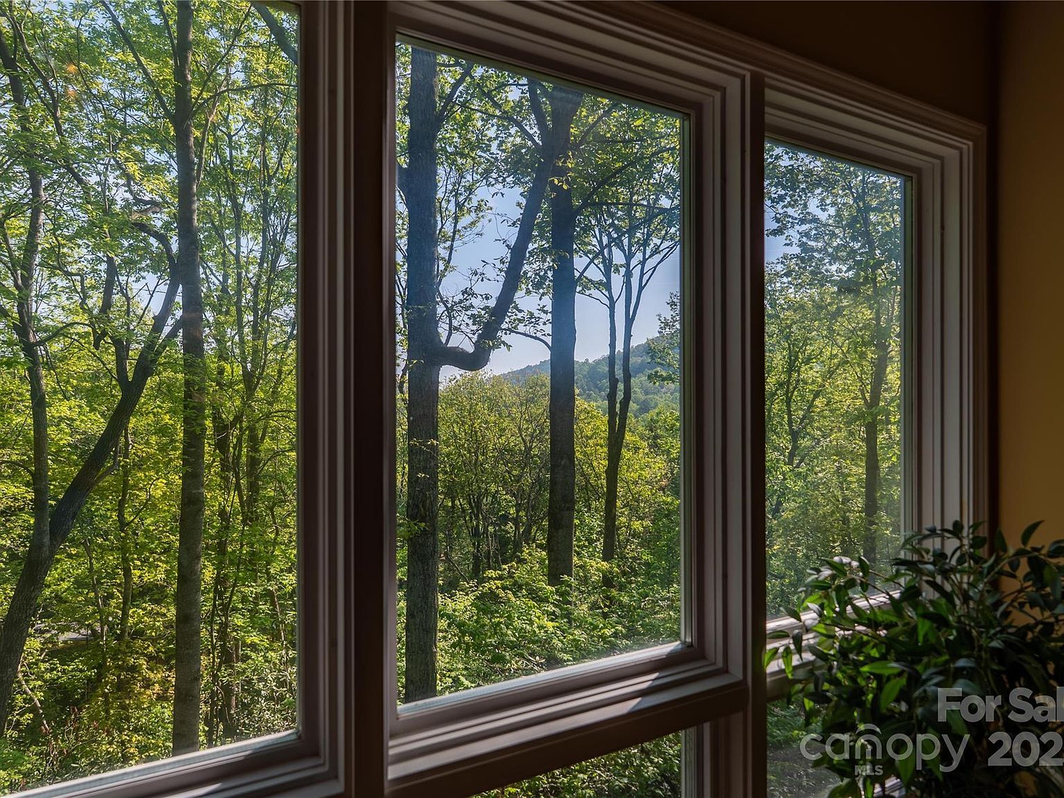 107 Spruce Ln Zirconia, NC 28790 | Single Family