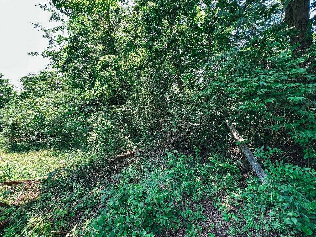 8212 Camp Ernst Rd #B Burlington, KY 41005 | Land/Lot