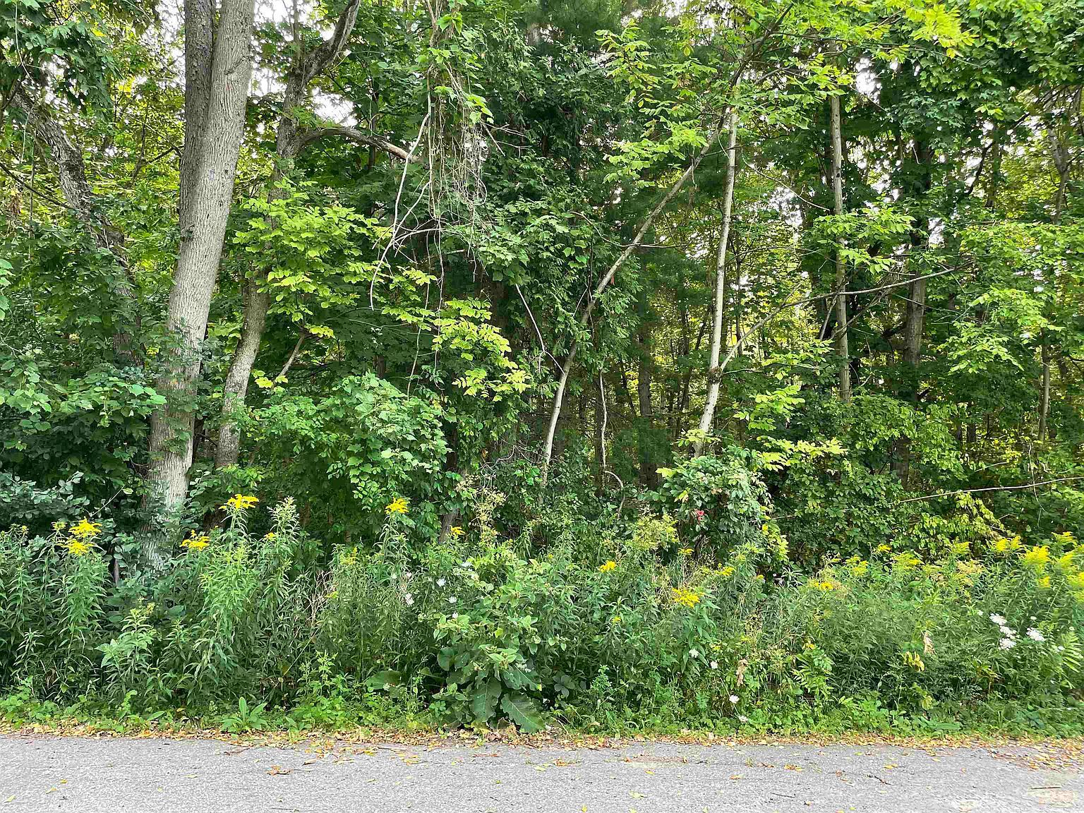 Green Meadows Rd Winthrop, NY 13697  | Land/Lot