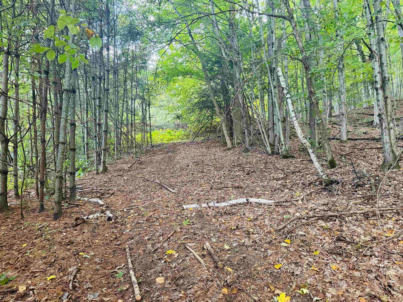 0 Mountain Ave Saint Johnsbury, VT 05819 | Land/Lot