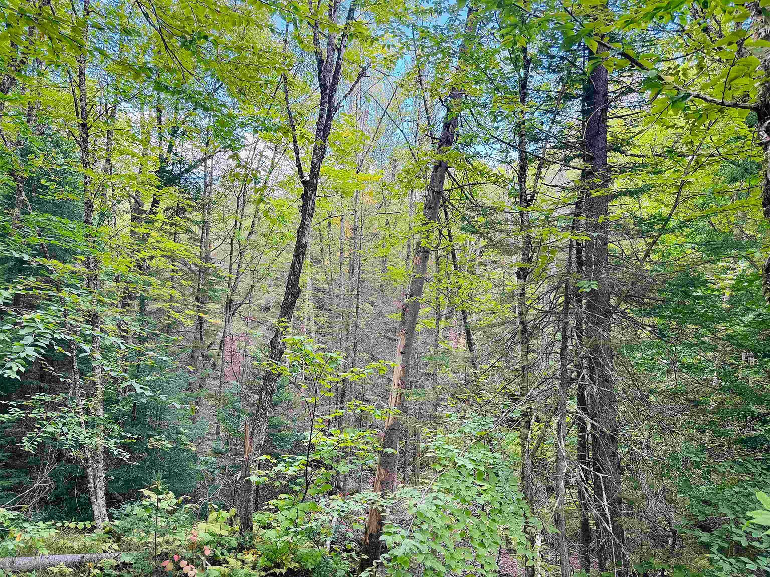 1352 Mud Hollow Rd Kirby, VT 05824 | Single Family