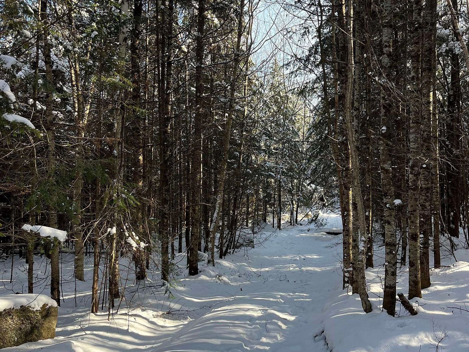 0 Shadow Lake Rd Glover, VT 05839  | Land/Lot