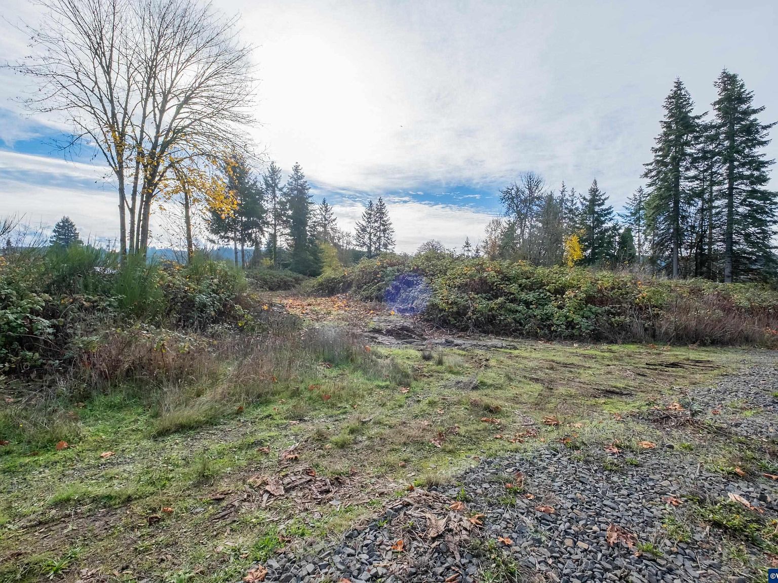1401 45th Ave Sweet Home, OR 97386 | Land/Lot