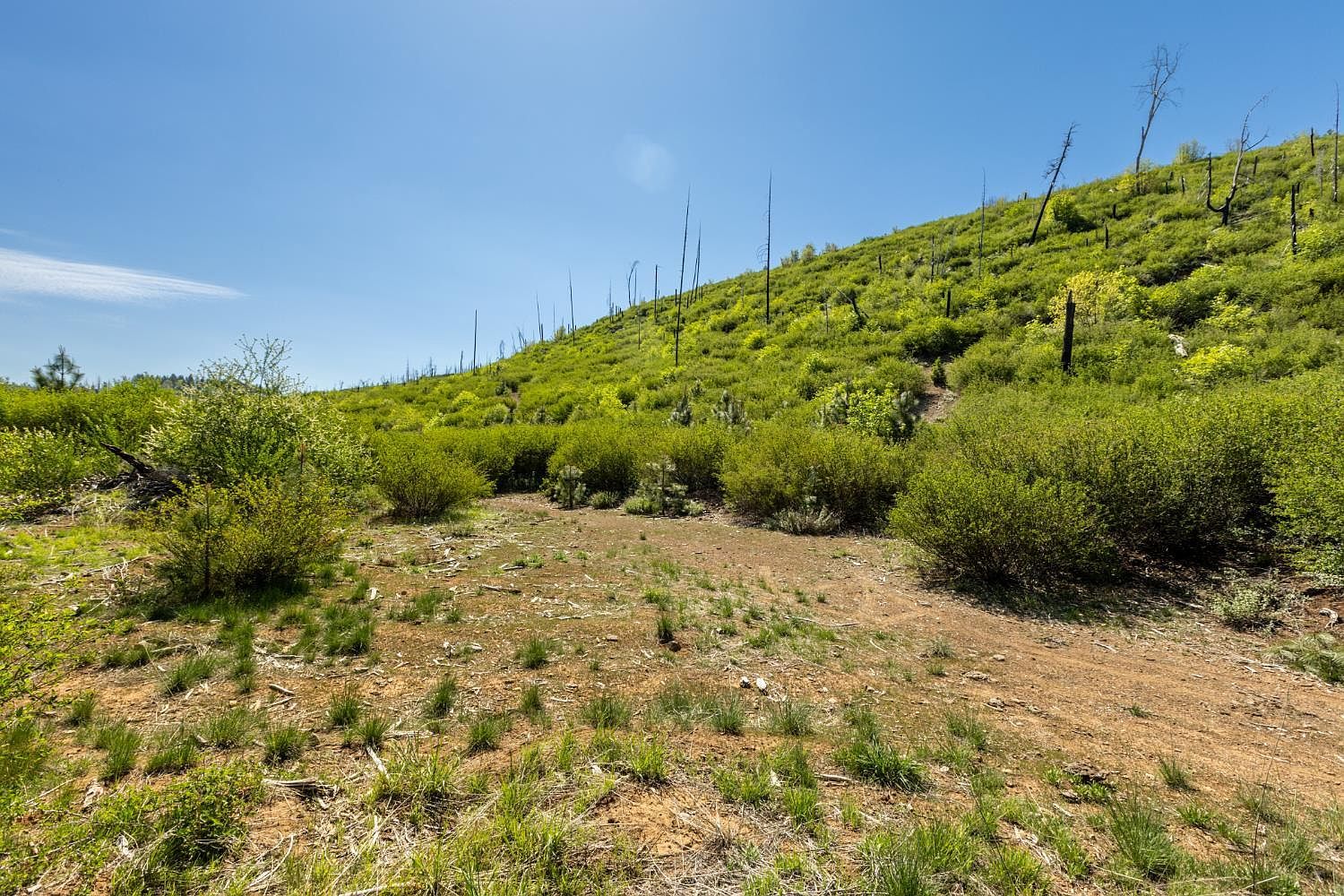 Acres 40 Wentworth Springs Rd Georgetown, CA 95634  | Land/Lot