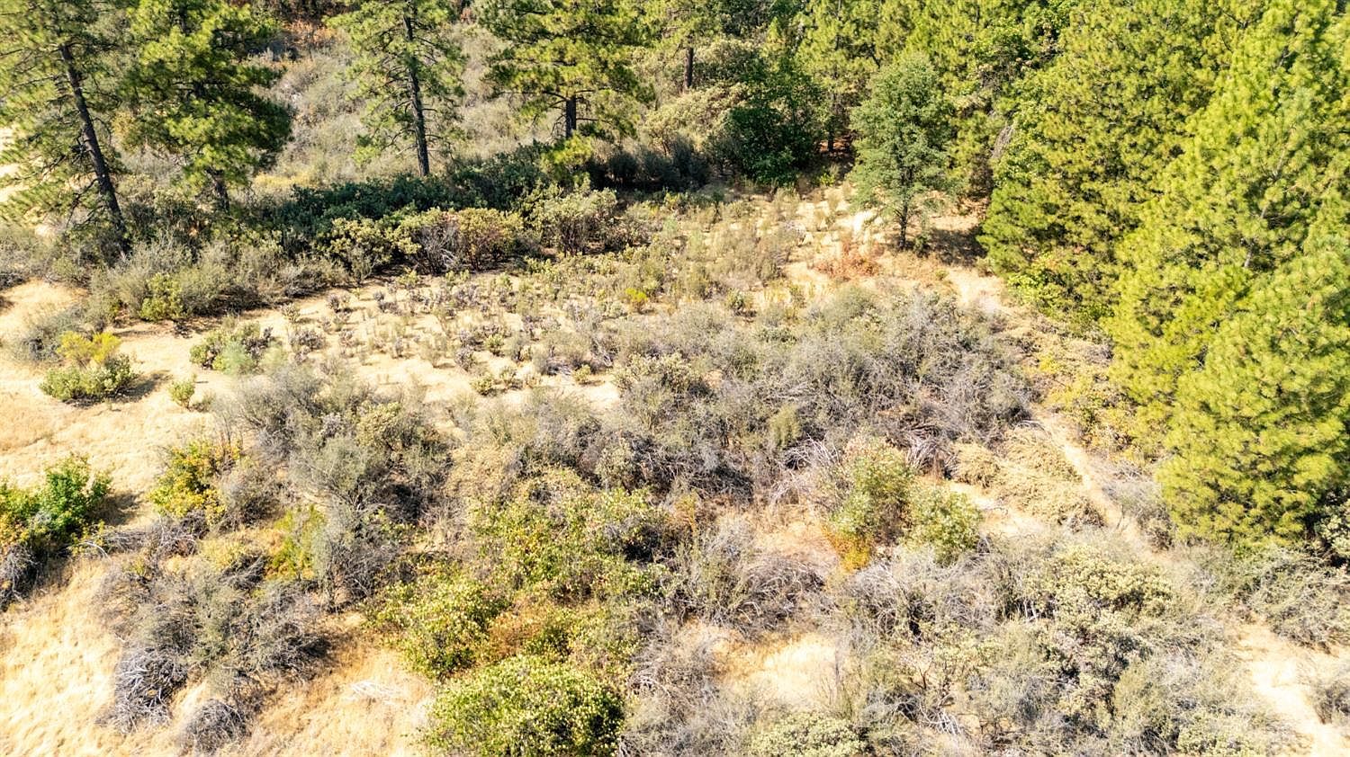 Acres 35 Dos Lagos Ct Pollock Pines, CA 95726  | Land/Lot