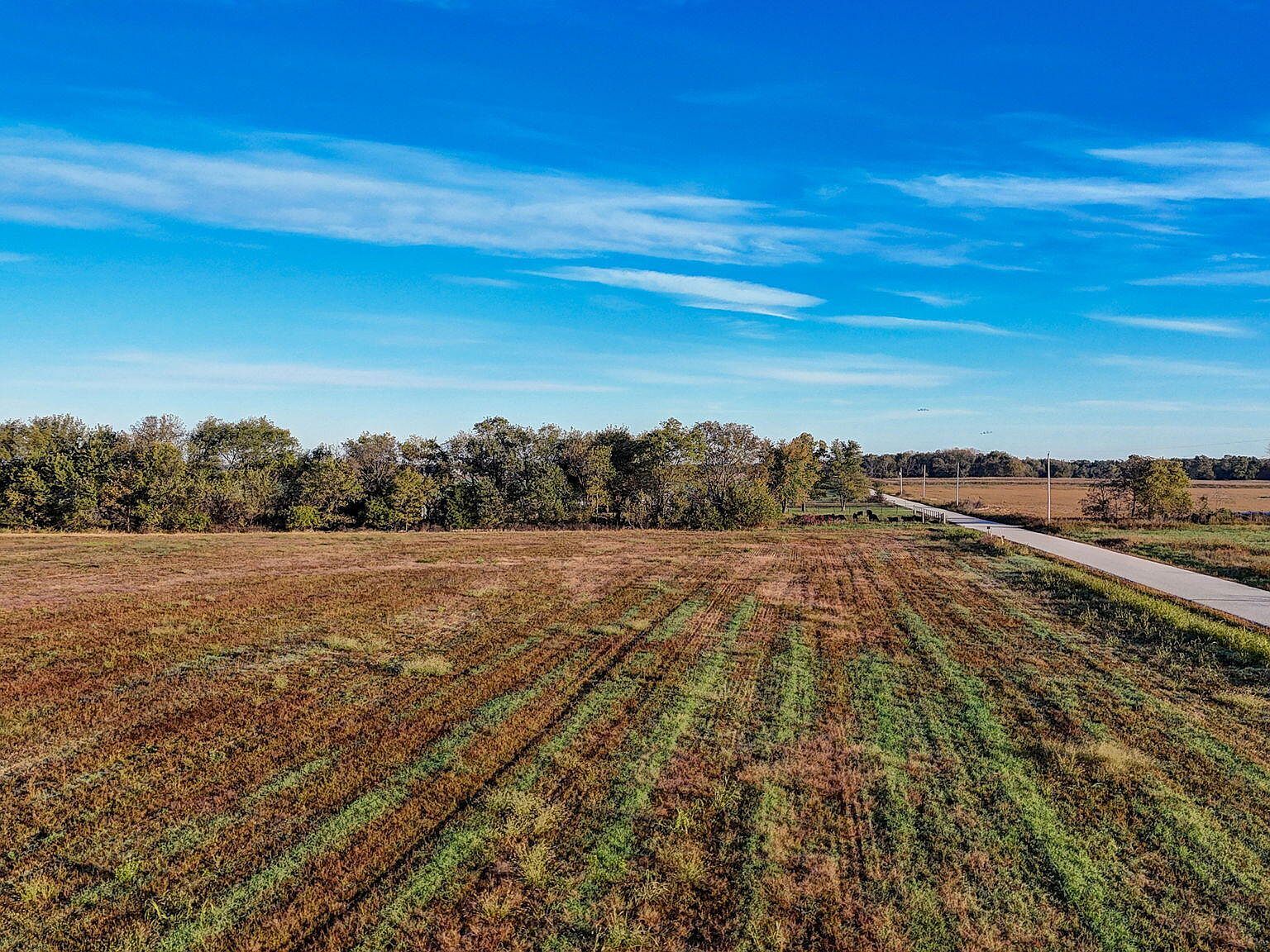 TRACT Eight 0 Apple Rd Sarcoxie, MO 64862 | Land/Lot