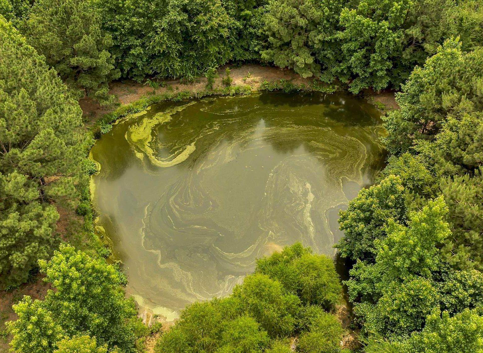 9822 Nasturtium Ore City, TX 75683  | Single Family