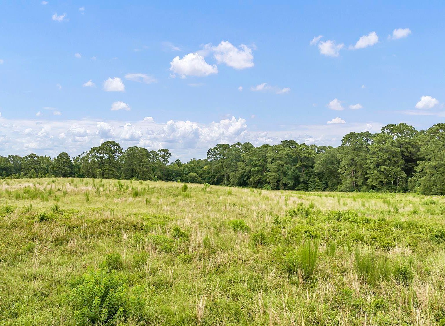 County Road 435 Tenaha, TX 75974 | Land/Lot