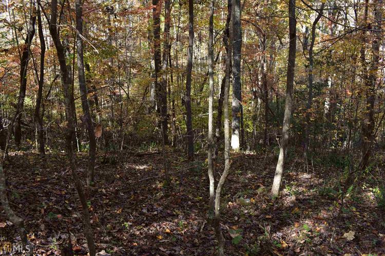 Habersham Landing Drive, Lot 25, Demorest, GA, 30535  | Land/Lot