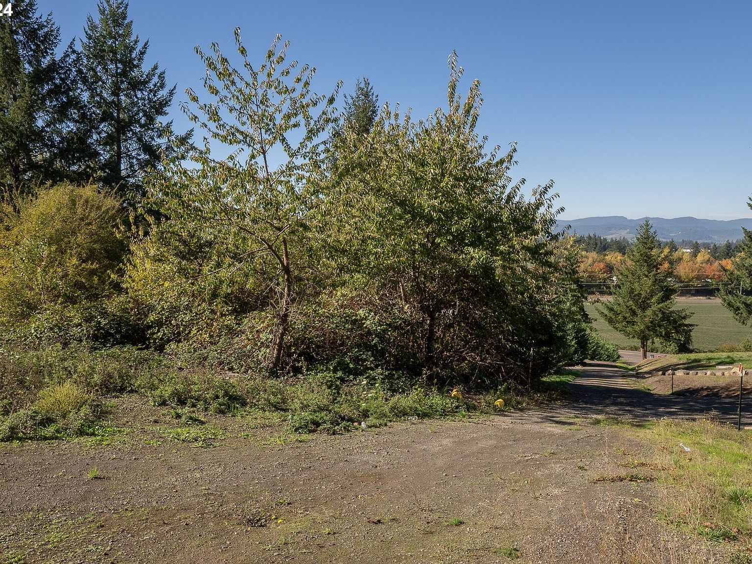 3406 SE Amity Dayton Hwy Amity, OR 97101 | Land/Lot