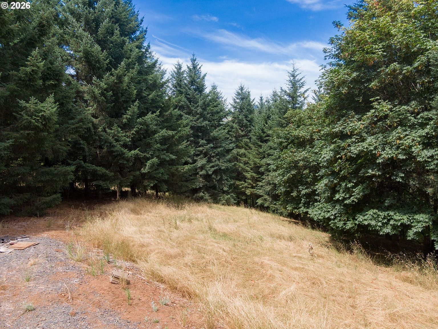 19601 NE Trunk Rd Dundee, OR 97115  | Land/Lot