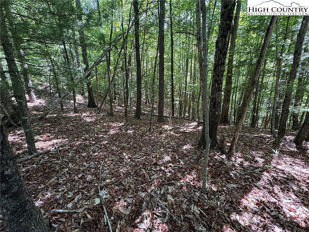 133 Steeple Chase Trl Mc Grady, NC 28649 | Land/Lot