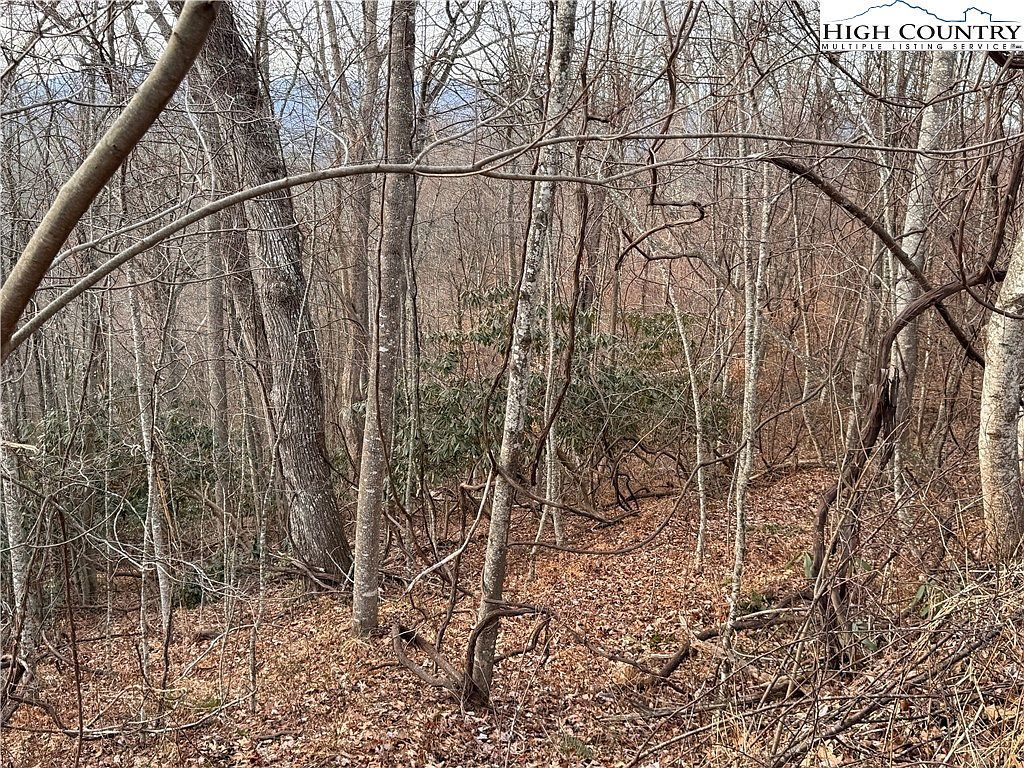 LOT 52 Dream Mountain Rd Grassy Creek, NC 28631  | Land/Lot