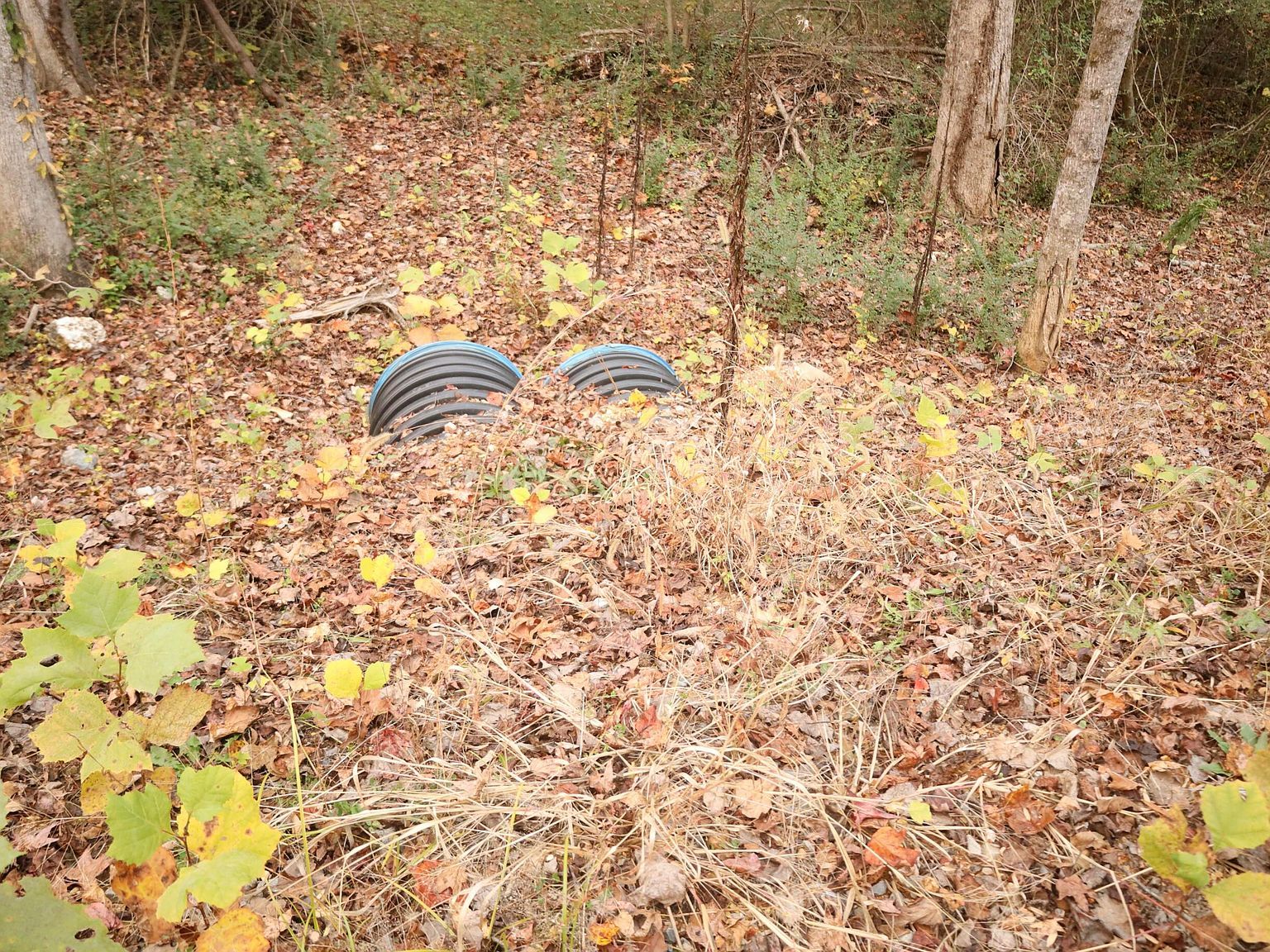 13768 Dell Dr Soddy Daisy, TN 37379  | Land/Lot