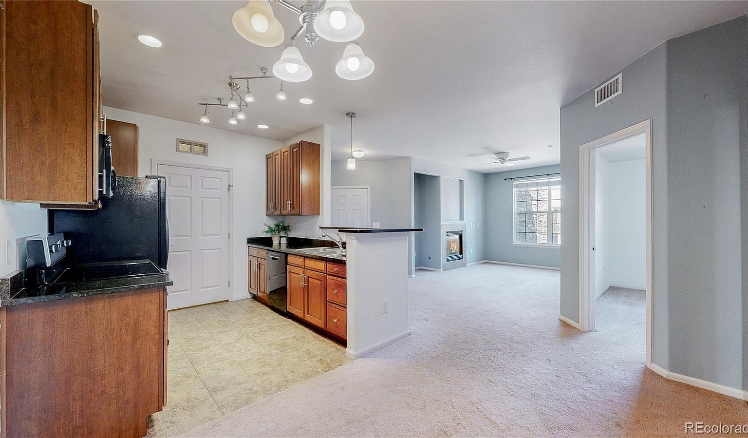 1465 Blue Sky Cir UNIT 17-204 Erie, CO 80516 | Condominium