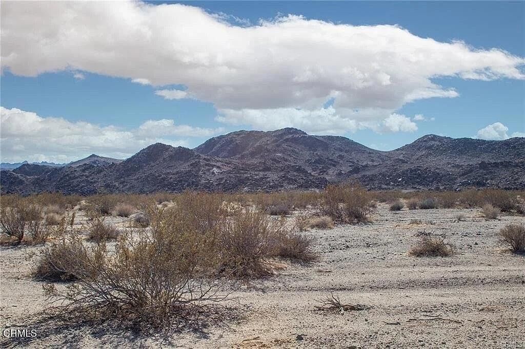 67090 Sunny Sands Dr Joshua Tree, CA 92252  | Land/Lot
