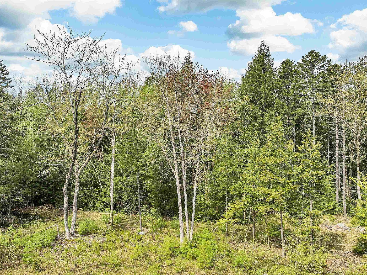 Lots42 43 44 49 G St Conway, NH 03818, Conway, NH, 3818  | Land/Lot