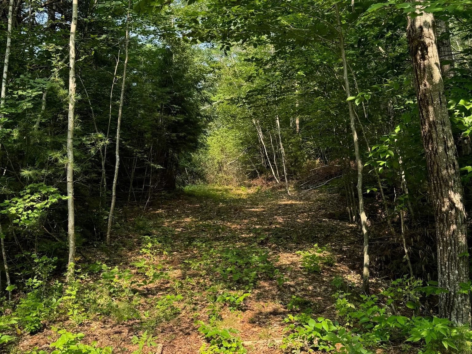 62 Whittier Hwy Center Sandwich, NH 03227  | Land/Lot